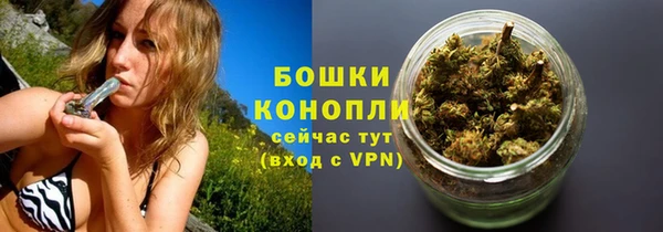 твердый Касимов