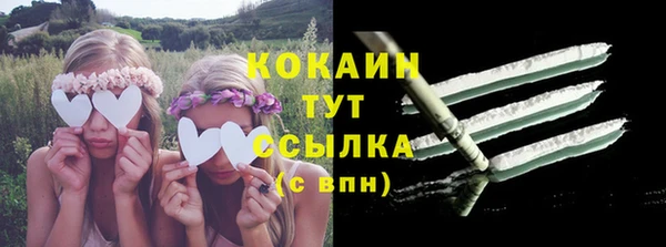 твердый Касимов