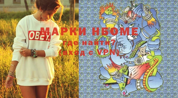 хмурый Карпинск
