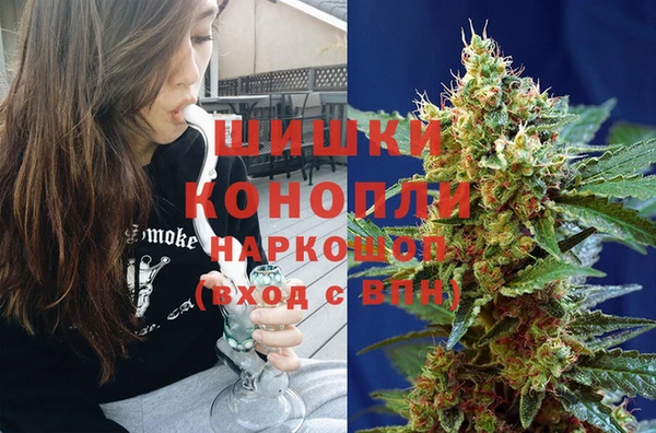 хмурый Карпинск