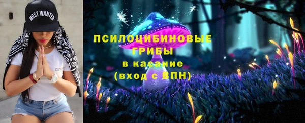 крисы Карталы