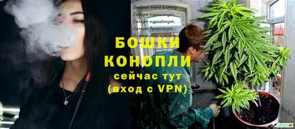 хмурый Карпинск